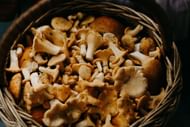 Mushrooms are rich in pantothenic acid. (Image via Pexels)